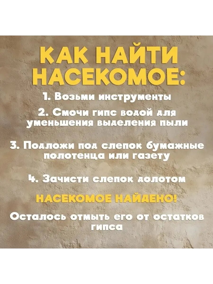 Юный археолог: раскопки с загадочным жучком