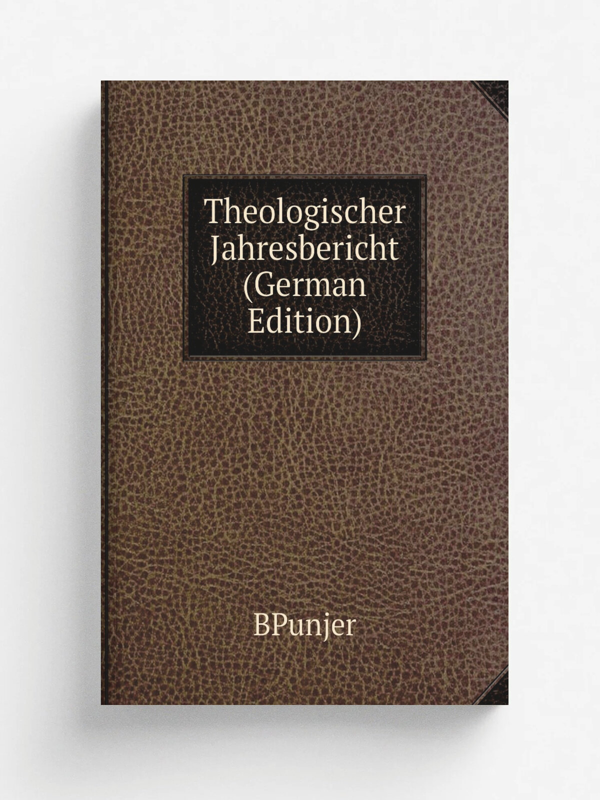 Theologischer Jahresbericht (German Edition) | BPunjer | Репринт
