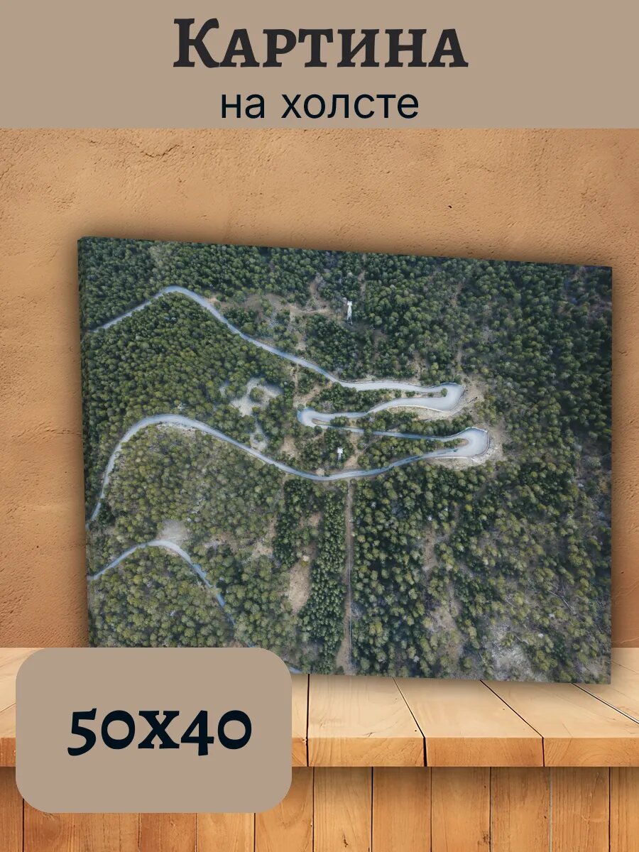 Картина Италия Italy 40x50 пейзаж лесной дороги