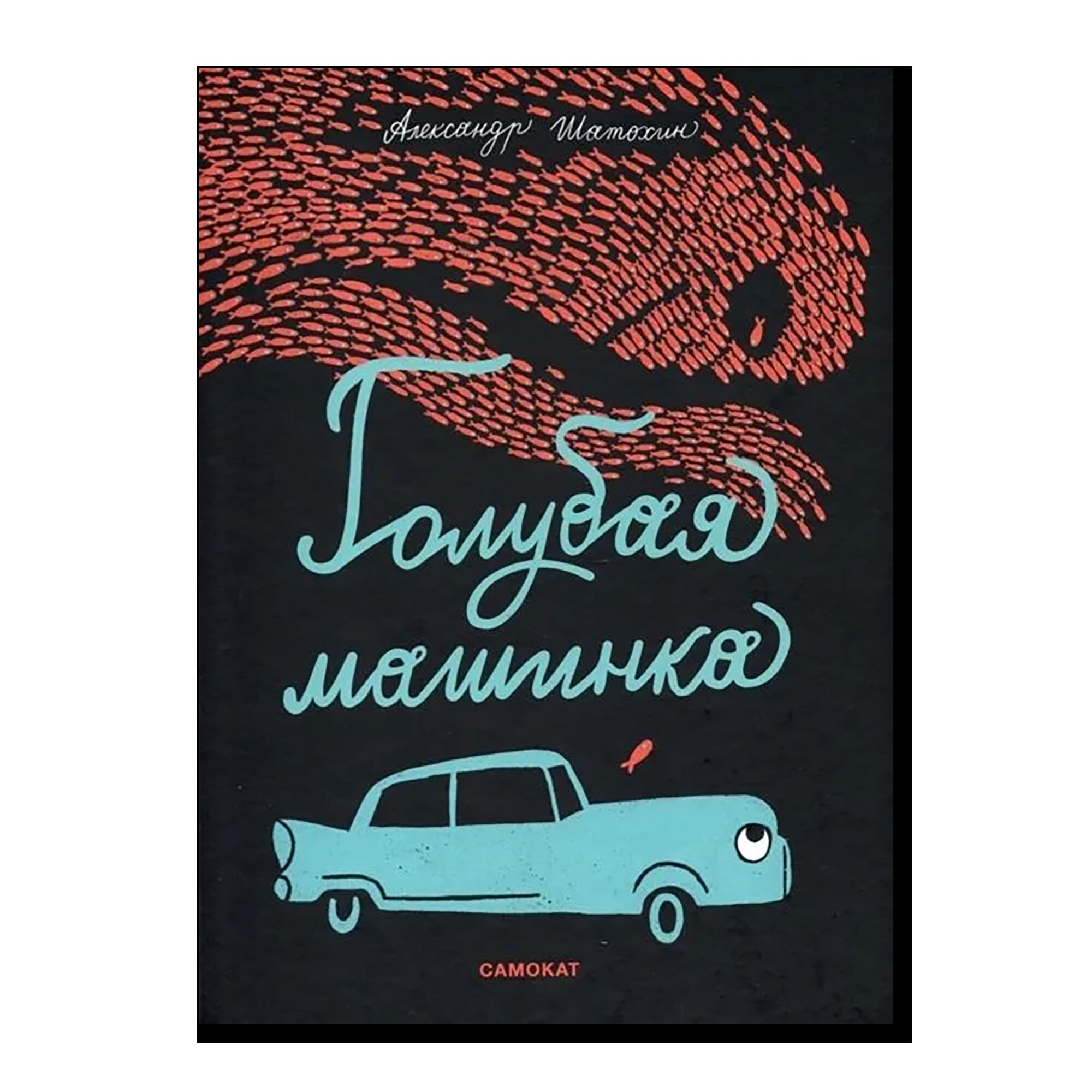 Архитектура глазами голубя