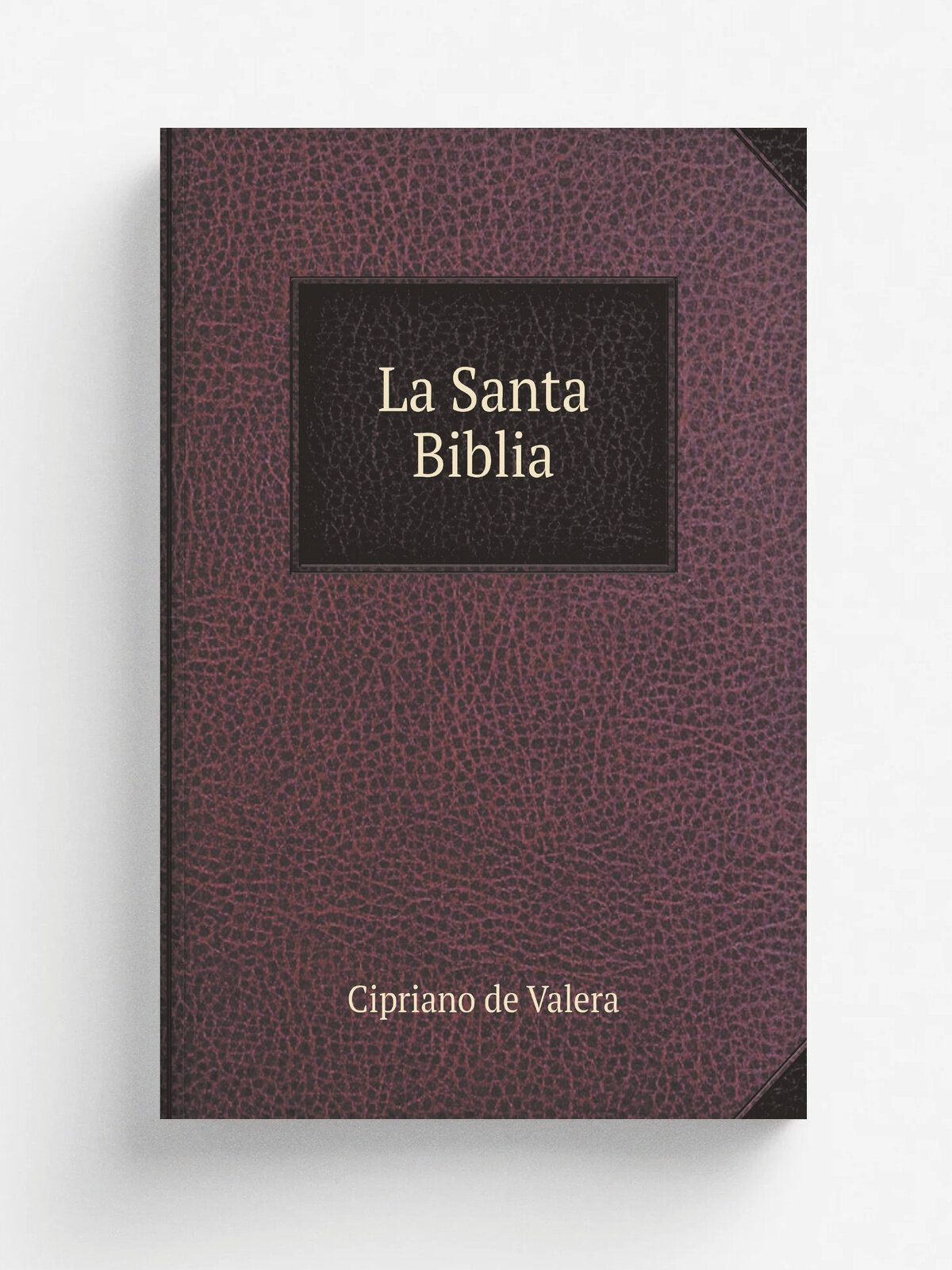 La Santa Biblia. Que contiene los sagrados libros del antiguo y nuevo testamento | Cipriano de Valera | 1862 | Oxford: Imprenta de la Universidad | Р…
