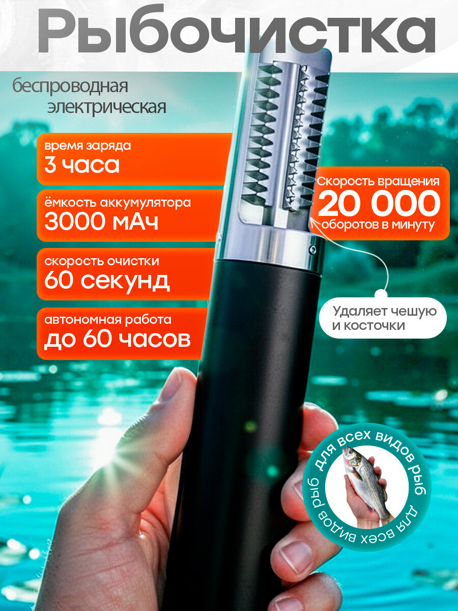 Рыбочистка Pescada, нержавеющая сталь, беспроводная, 20000 об./мин, черный цвет