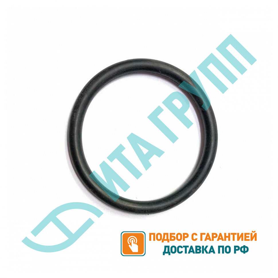 Уплотнительная прокладка фланца для котлов Protherm, Эван D48мм, 66815