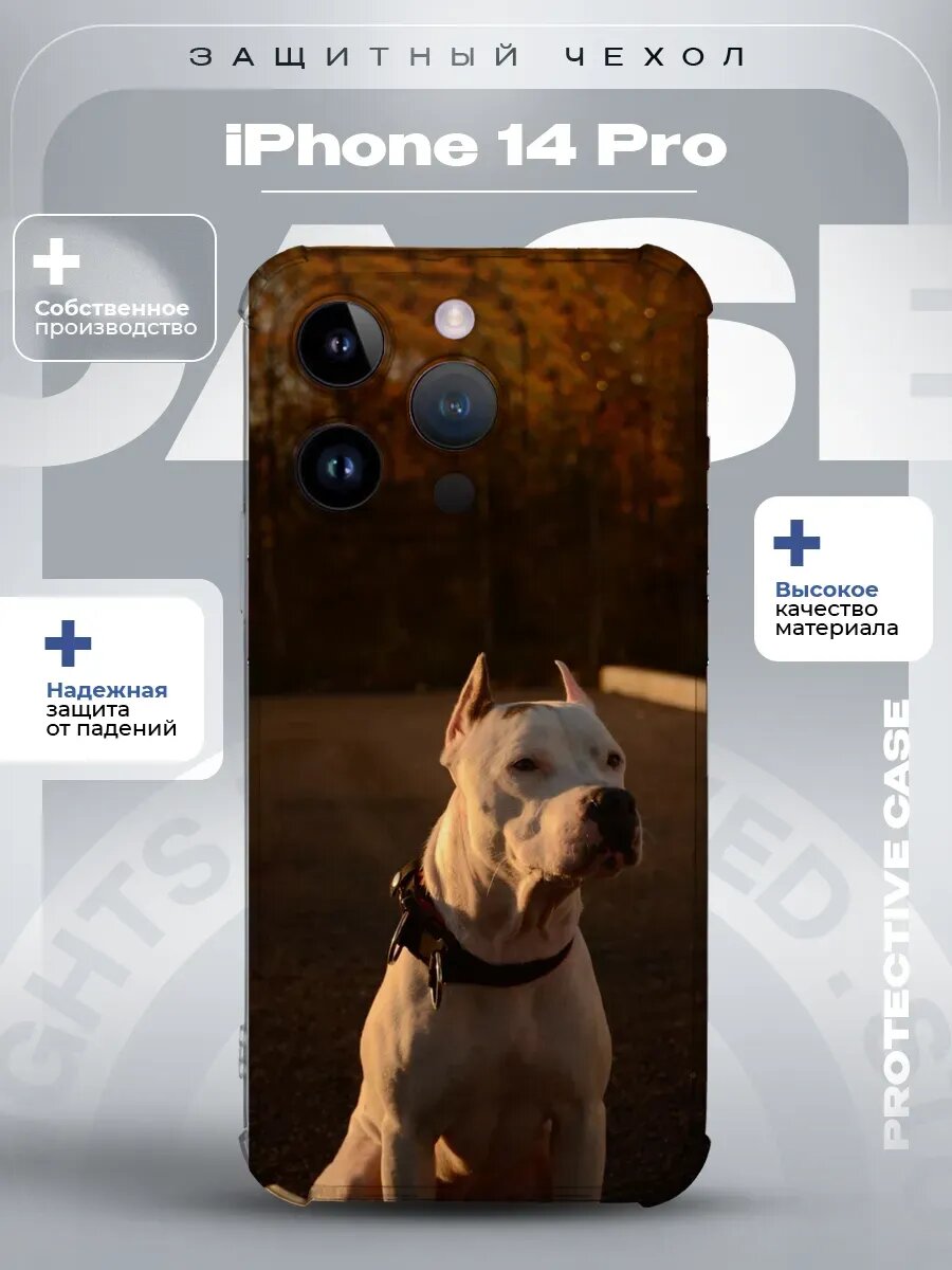 Чехол на iPhone 14 Pro с принтом стафф