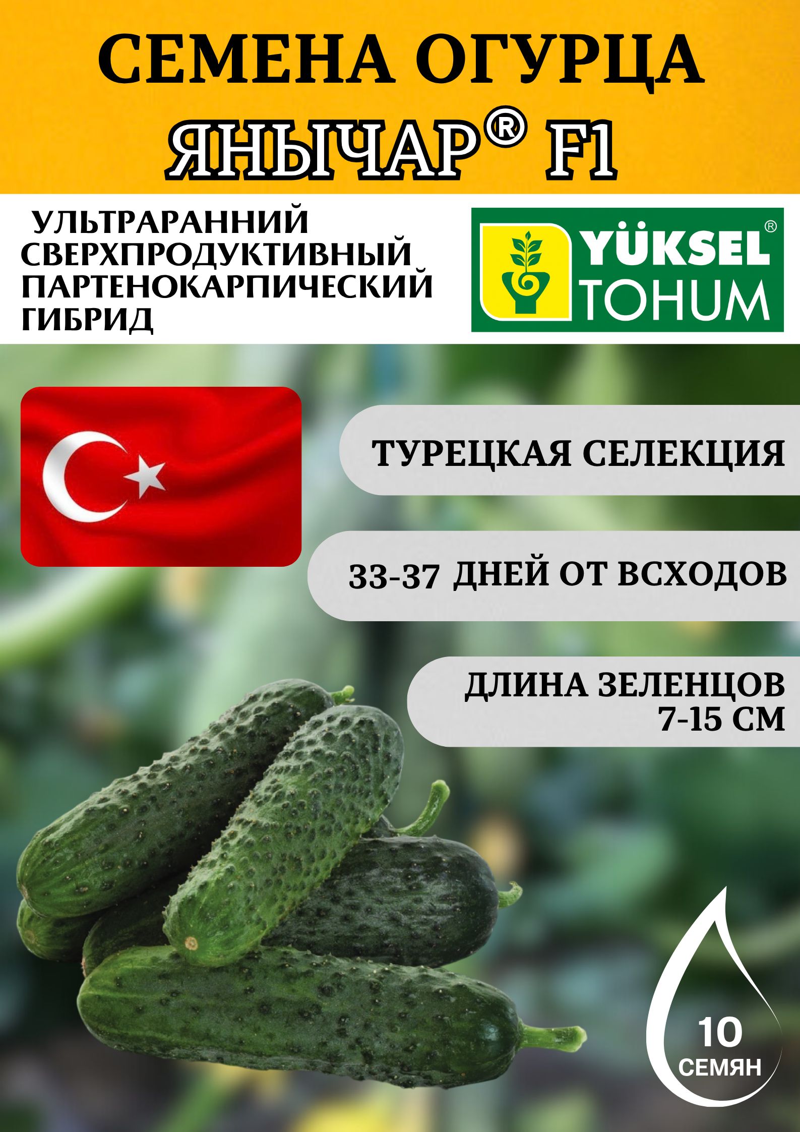 Янычар F1 огурец 10 семян Yuksel Tohum, профессиональные семена