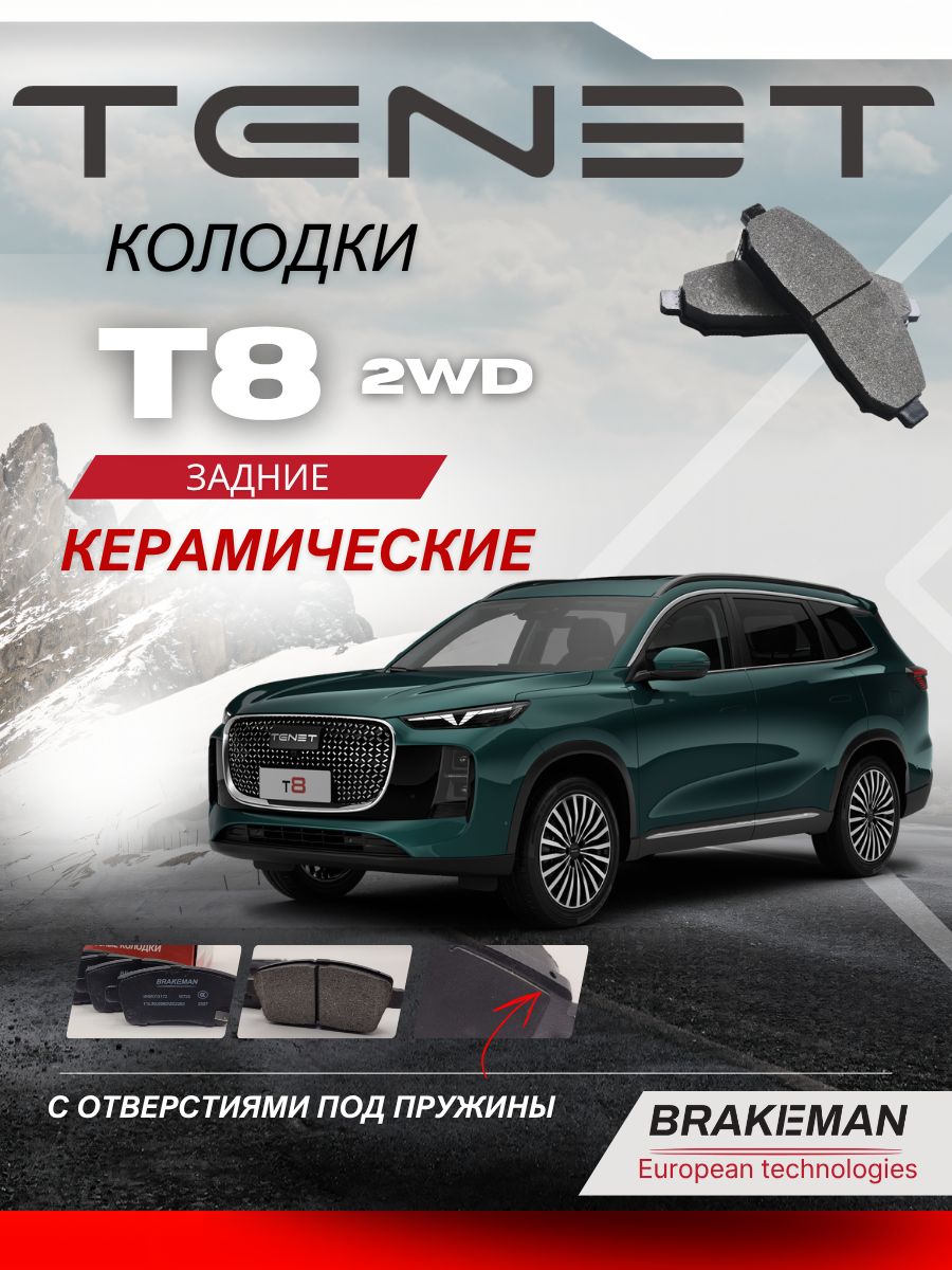 Задние тормозные колодки Тенет Т8
