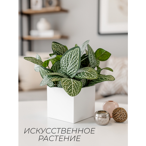 фото Искусственная трава в ящике для дома и офиса, подар. ок home подар.окhome