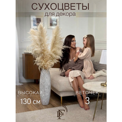 фото Пампасная трава designflowers, сухоцветы длядекора, кортадерия 3 шт, 130 см