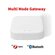 Multi Mode Gateway Zigbee Bluetooth
