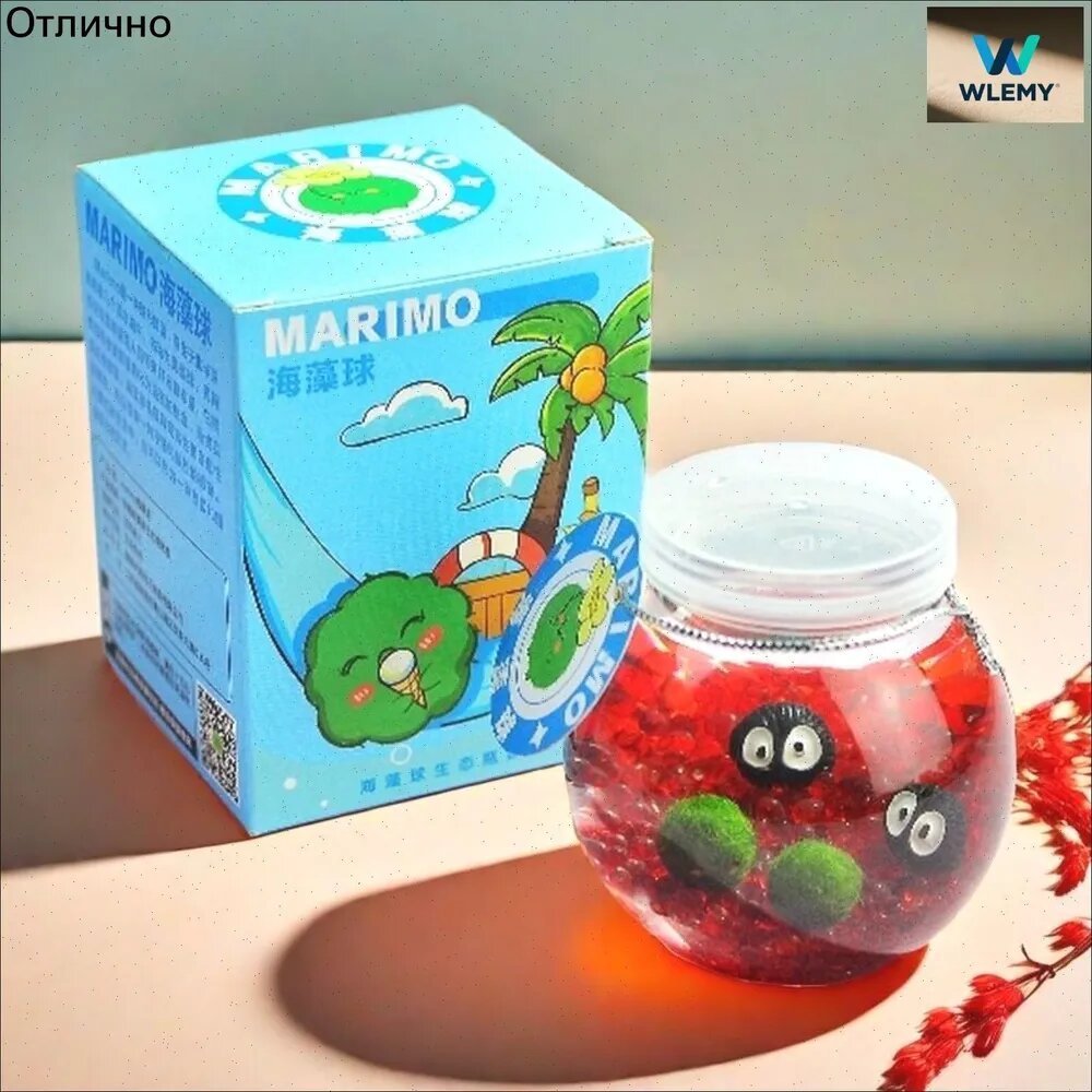 Набор для выращивания маримо живой моховой шар в аквариуме, с декоративным гелем и банкой