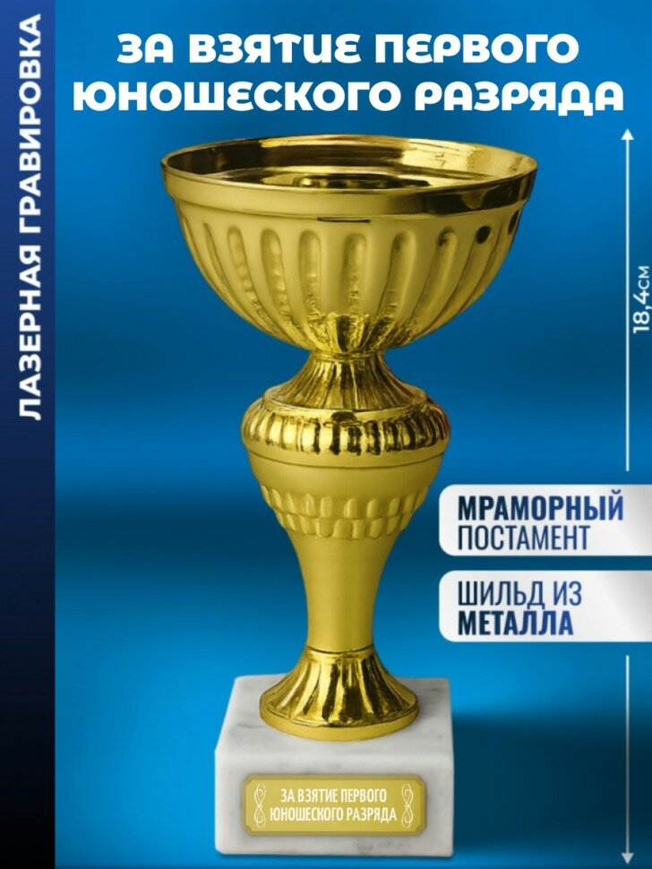 Кубок "За взятие первого юношеского разряда"