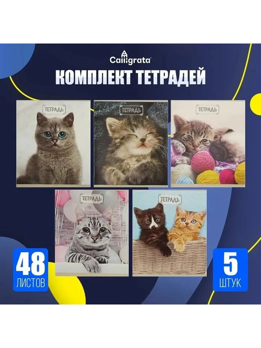 Милые котята: комплект тетрадей для учебы