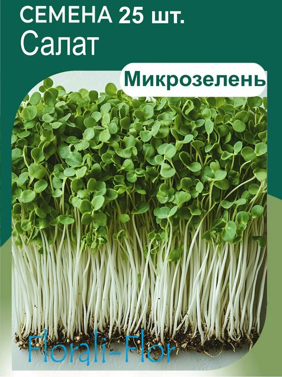 Семена микрозелень салат