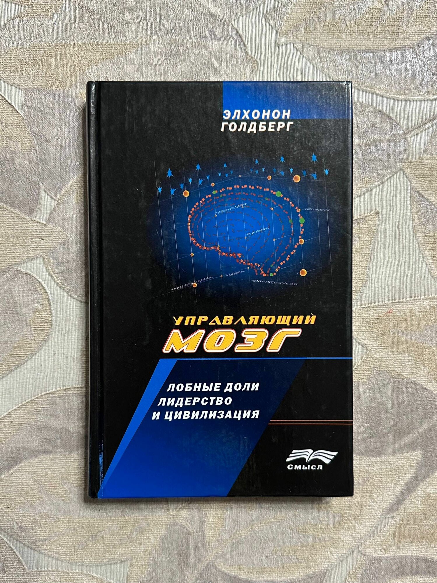 Управляющий мозг. Лобные доли, лидерство и цивилизация