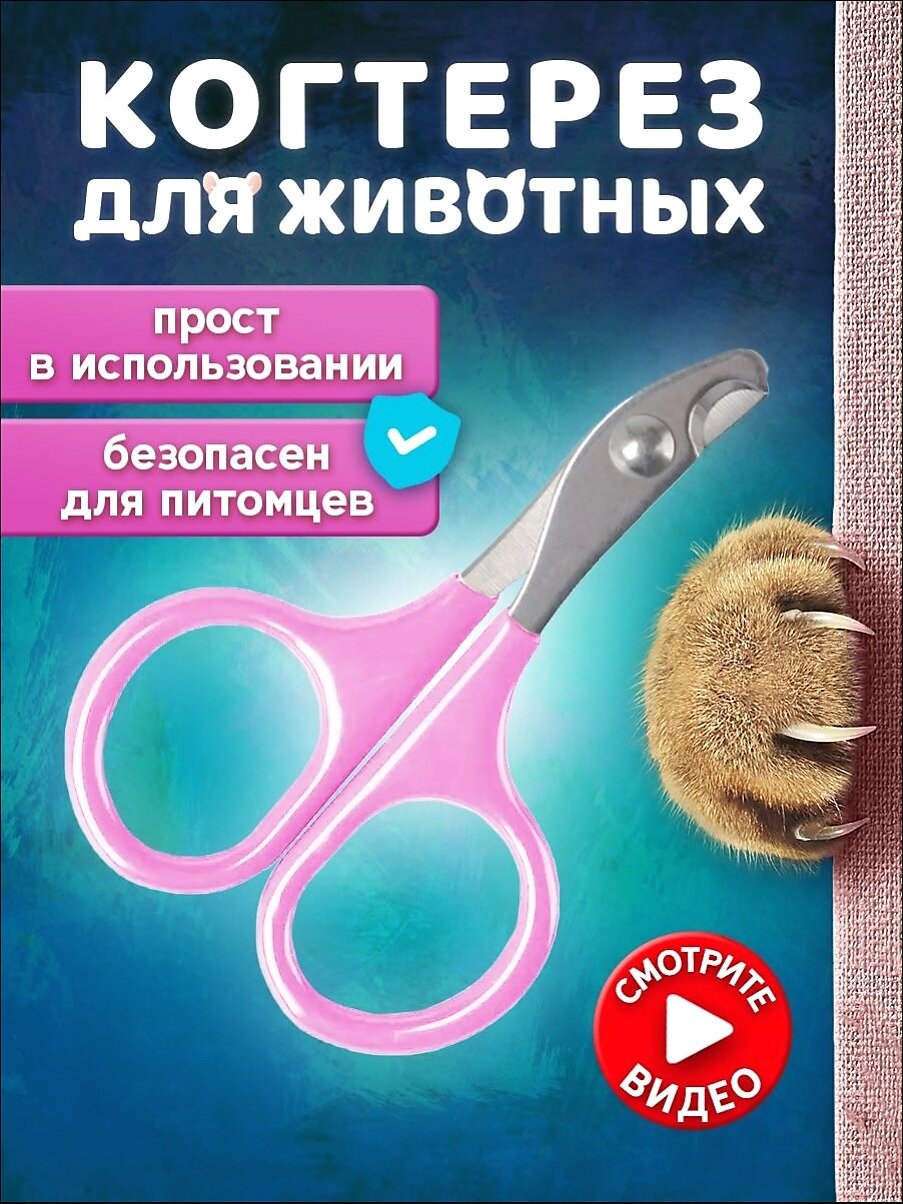 Моськин хвост