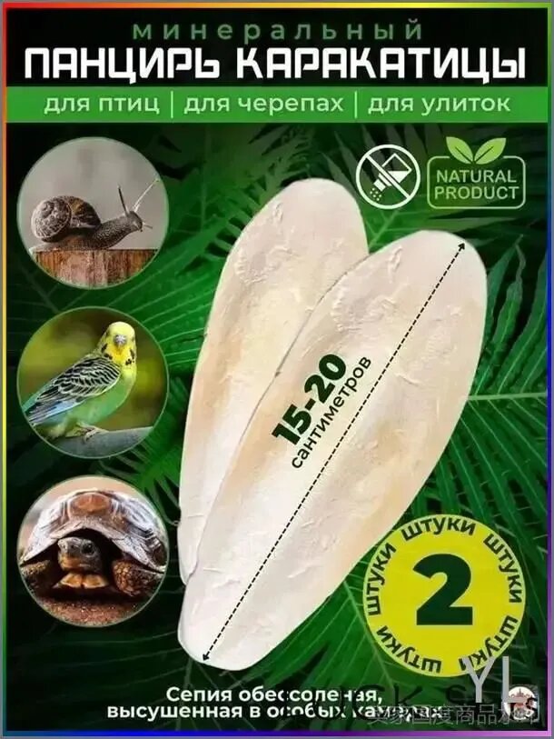 Сепия 2 шт- Панцирь каракатицы, 15-20см.-9.7