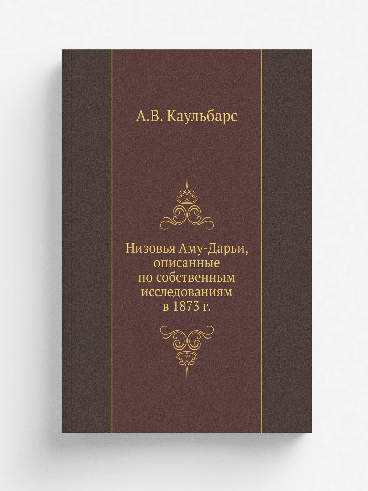 Низовья Аму-Дарьи, описанные по собственным исследованиям в 1873 г.