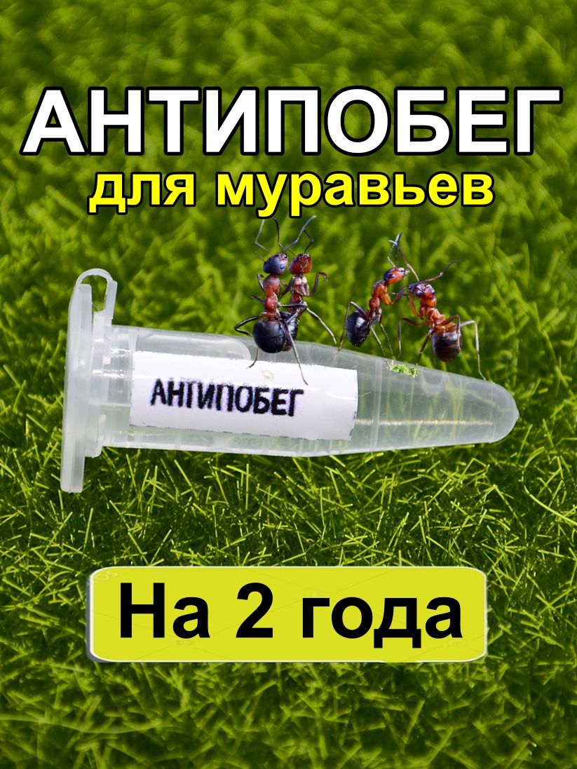 Антипобег для муравьев