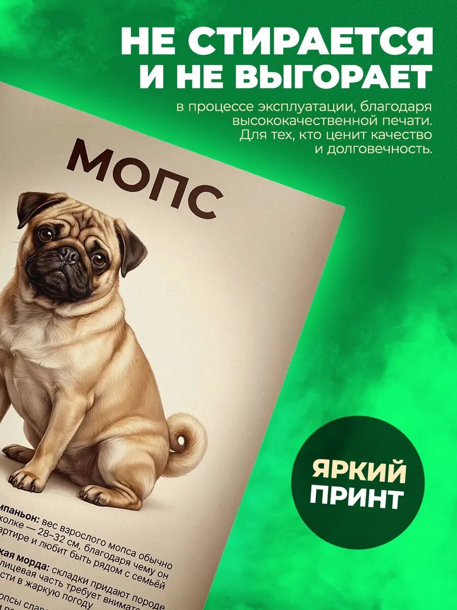 Тетрадь - А5 - Мопс — фото 1