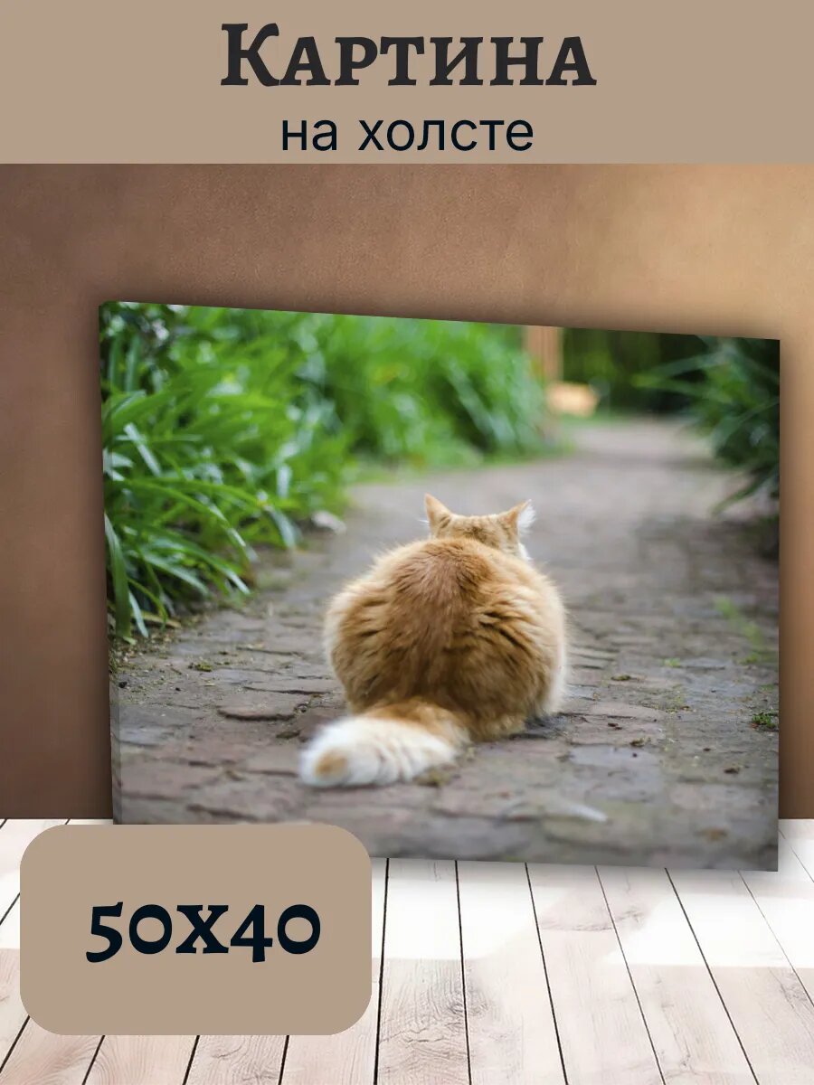 Картина Кот Кошка Cat 40x50 рыжая на дорожке