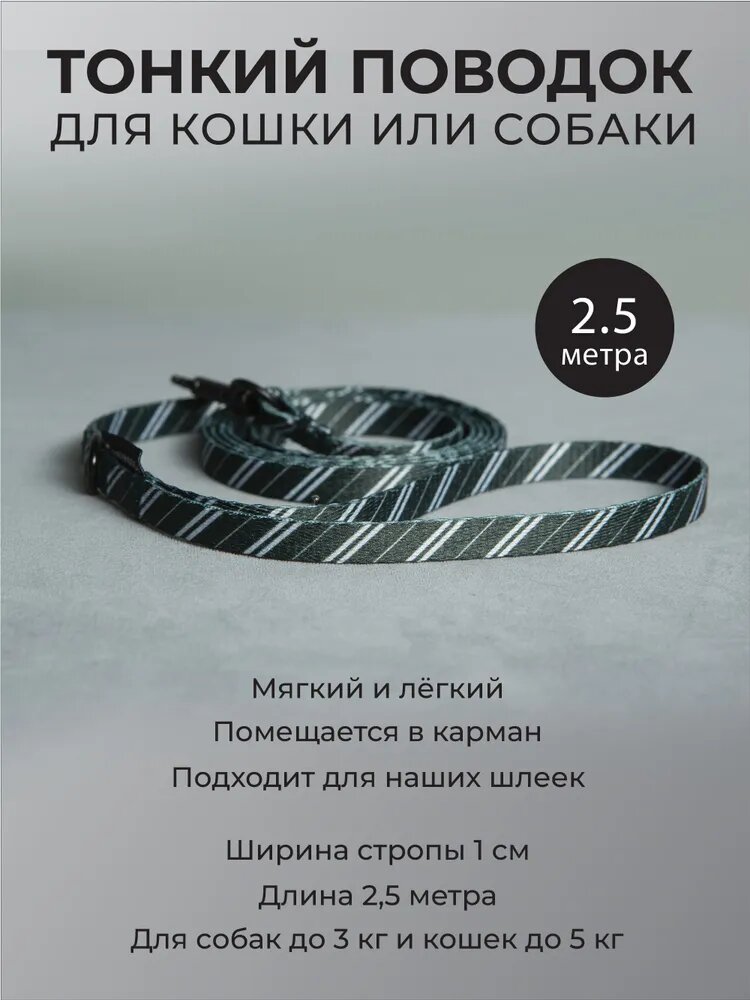 Поводок для мелких собак и кошек Слизерин 2.5 м