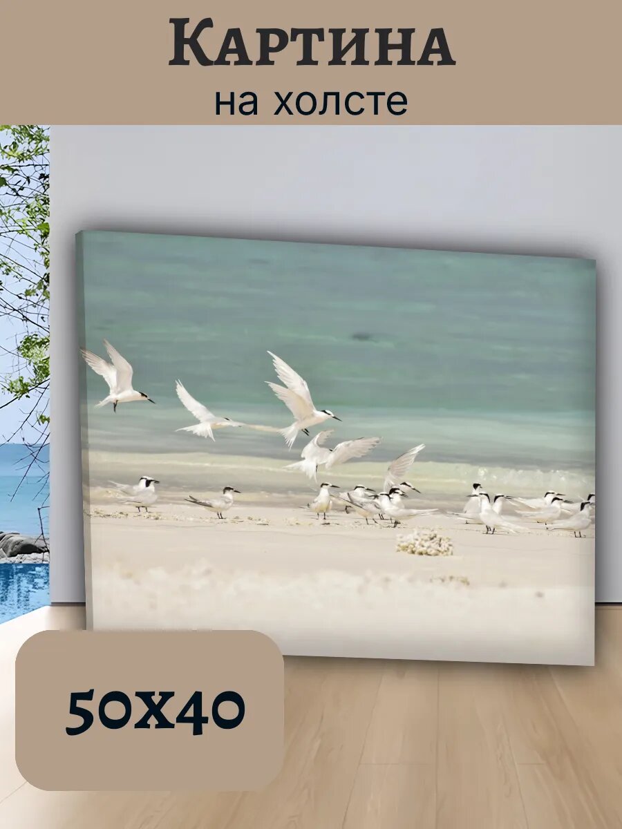 Картина Постер Мальдивы 40x50 птицы на пляже