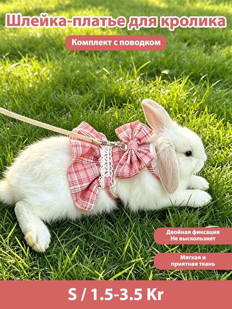 Грудная шлейка-платье для кролика в клетку с бантиком и кружевом, комплект с поводком