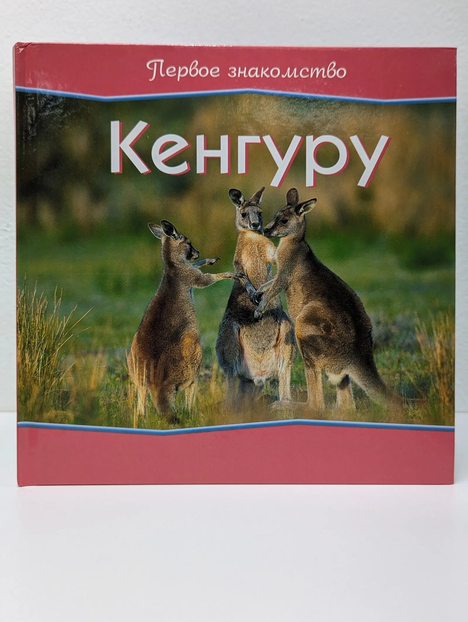 Первое знакомство. Кенгуру Уилздон Кристина 2008