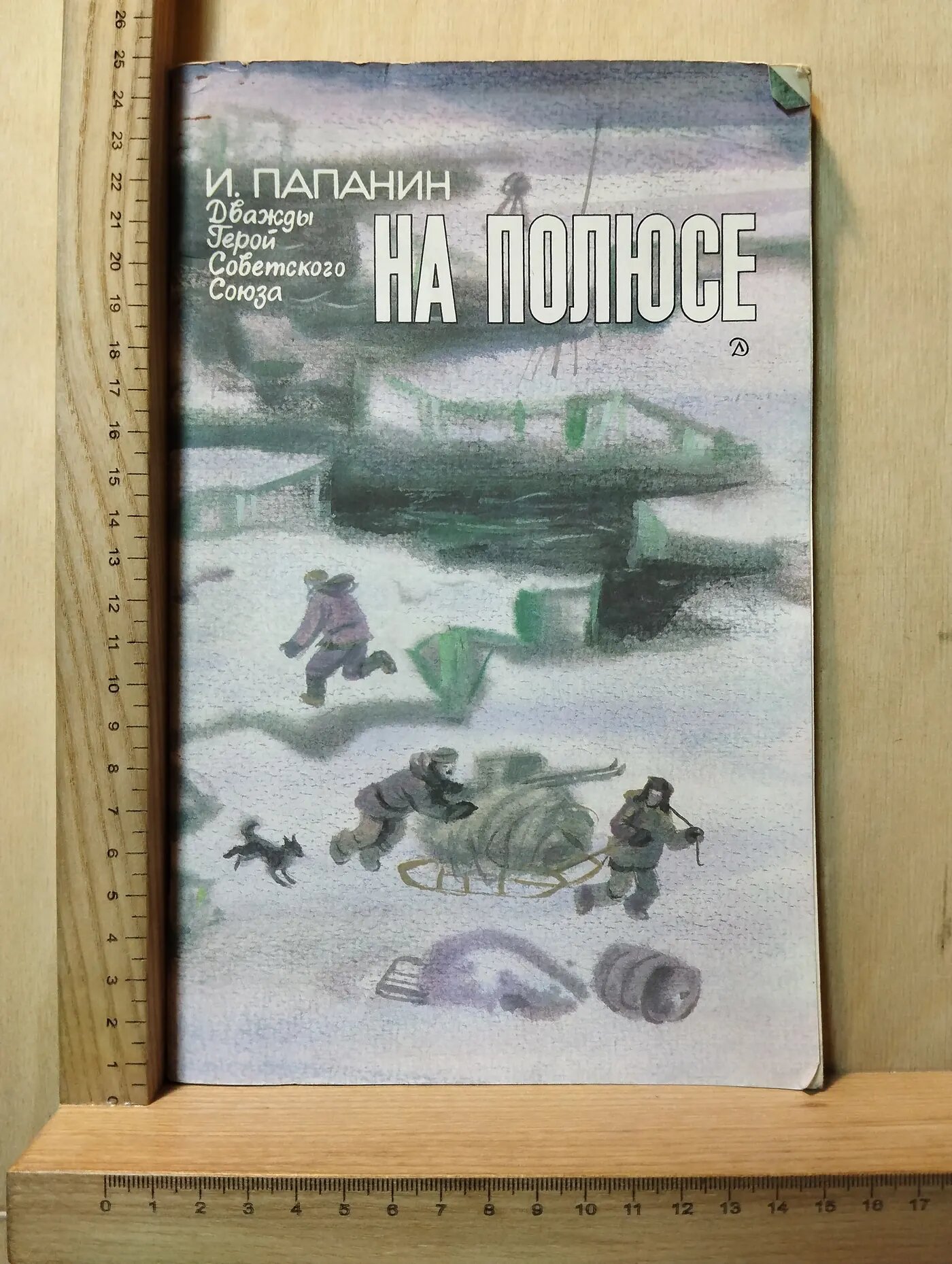 На полюсе