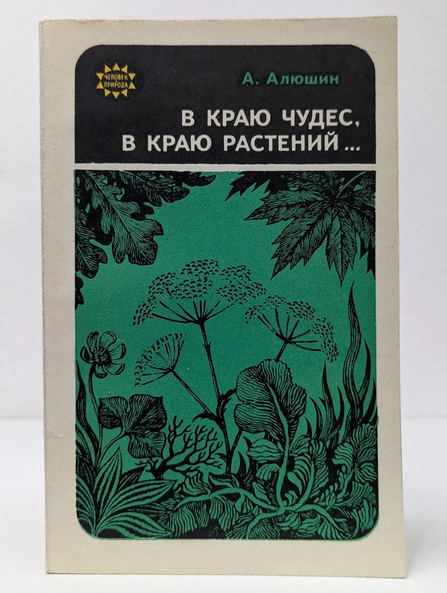 В краю чудес, в краю растений. Алюшин Алексей Иванович 1975