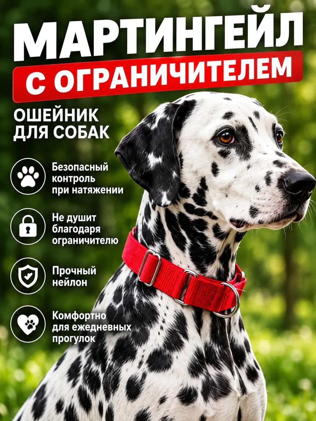 Ошейник-мартингейл, полуудавка для собак с ограничителем, S, обхват шеи 30-40 см, красный