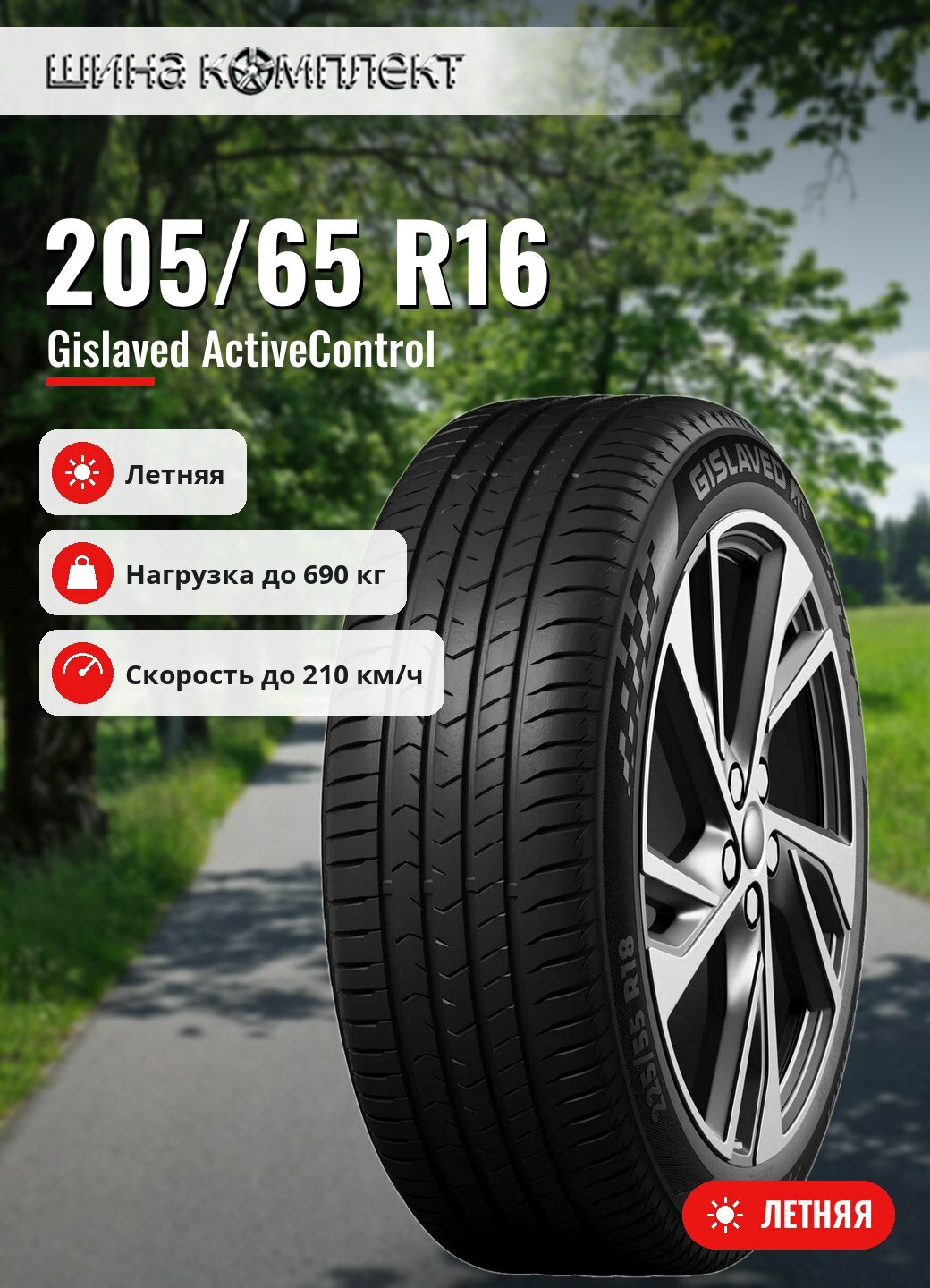 Автомобильная шина Gislaved ActiveControl 205/65 R16 95H летняя для легкового автомобиля