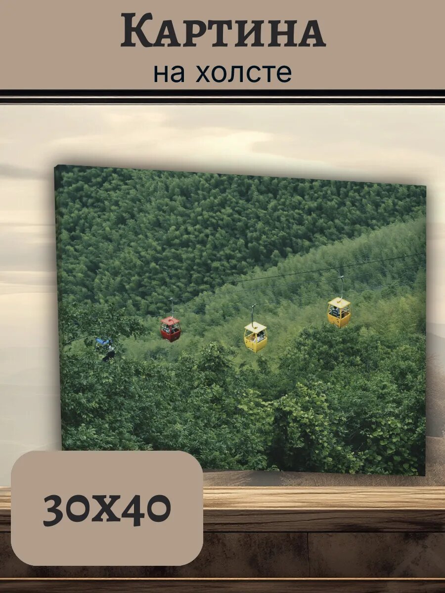 Картина Постер Китай China 30x40 канатная Дорога