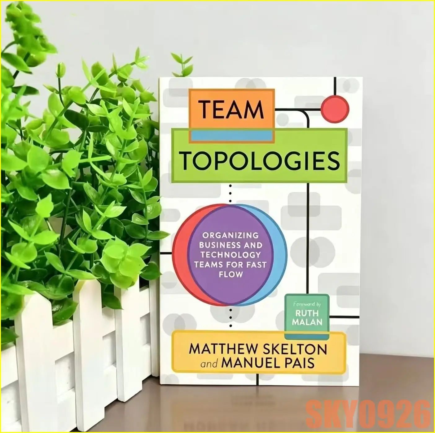 Team Topologies by Matthew Skelton & Manuel Pais Business IT Management English Book