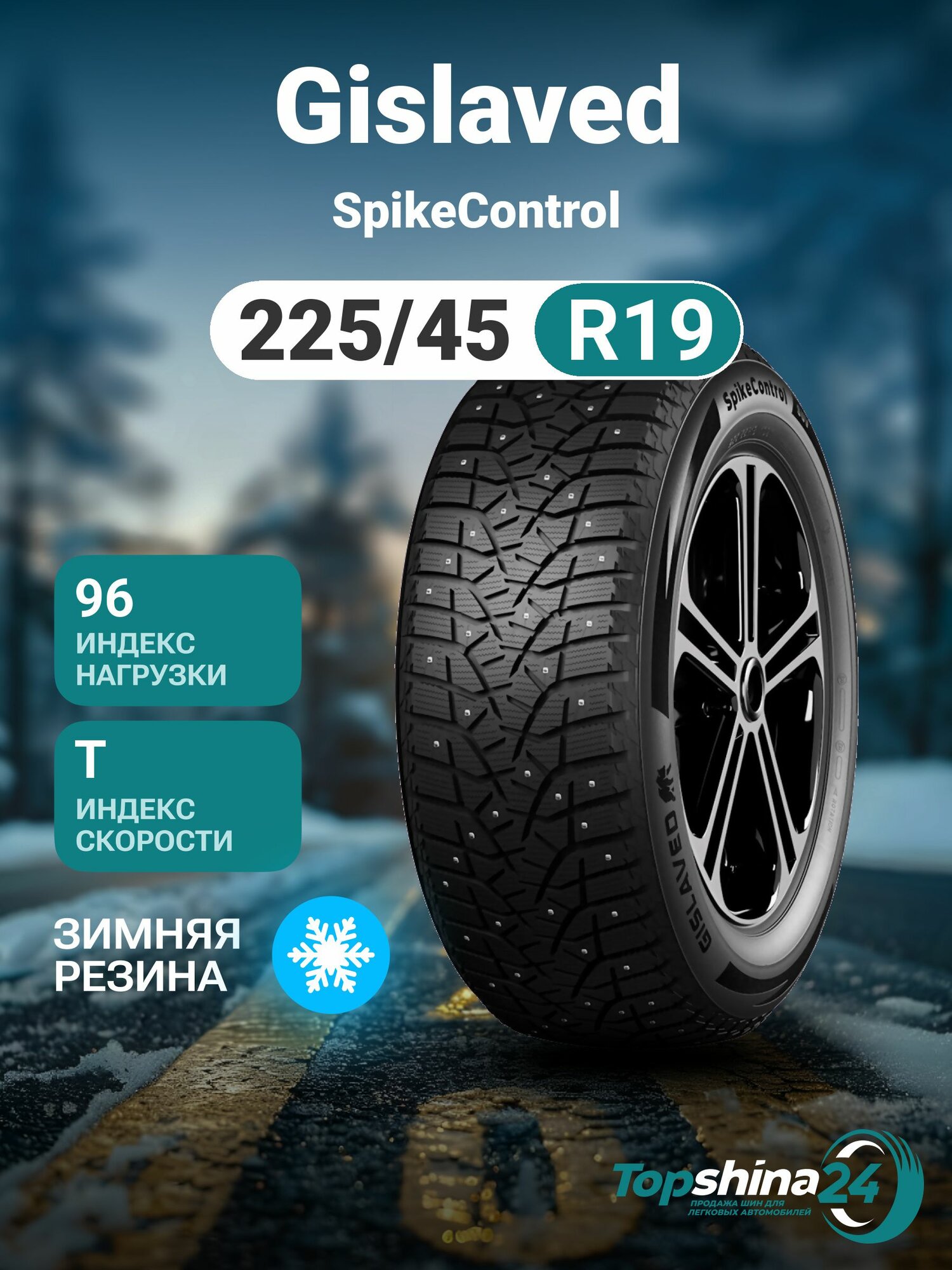 Шины зимние Gislaved SpikeControl 225/45 R19 T96 шип