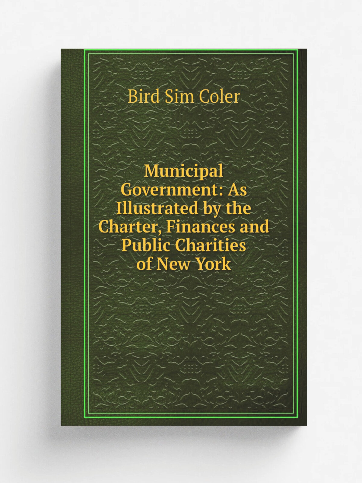 Municipal Government: As Illustrated by the Charter, Finances and Public Charities of New York