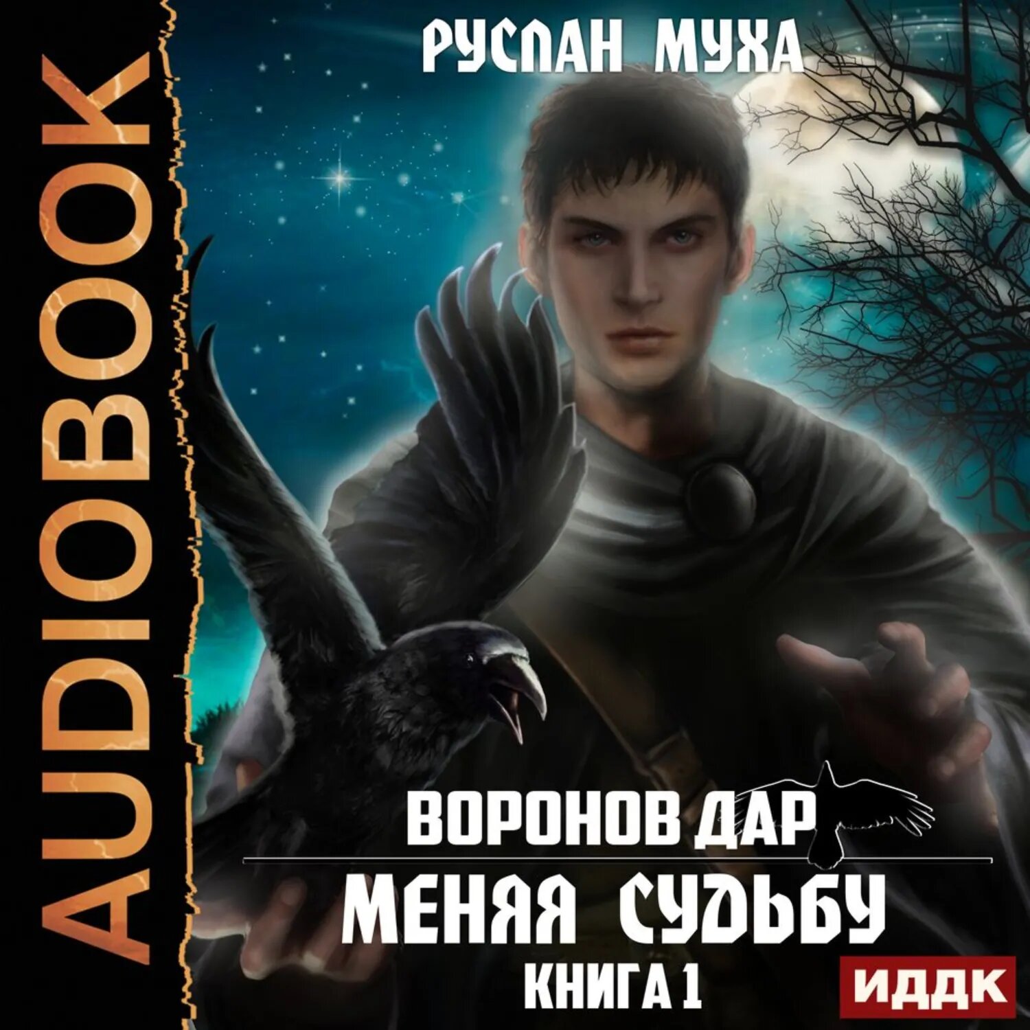 Воронов дар. Книга 1. Меняя Судьбу [Аудиокнига]