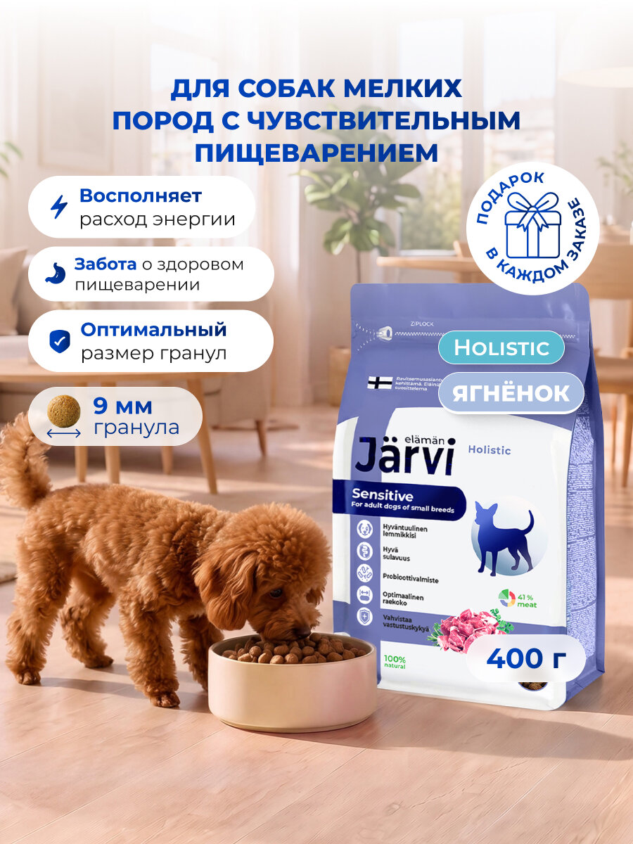 Сухой корм Jarvi полнорационный для взрослых собак мелких пород с чувствительным пищеварением с ягненком, 400 г