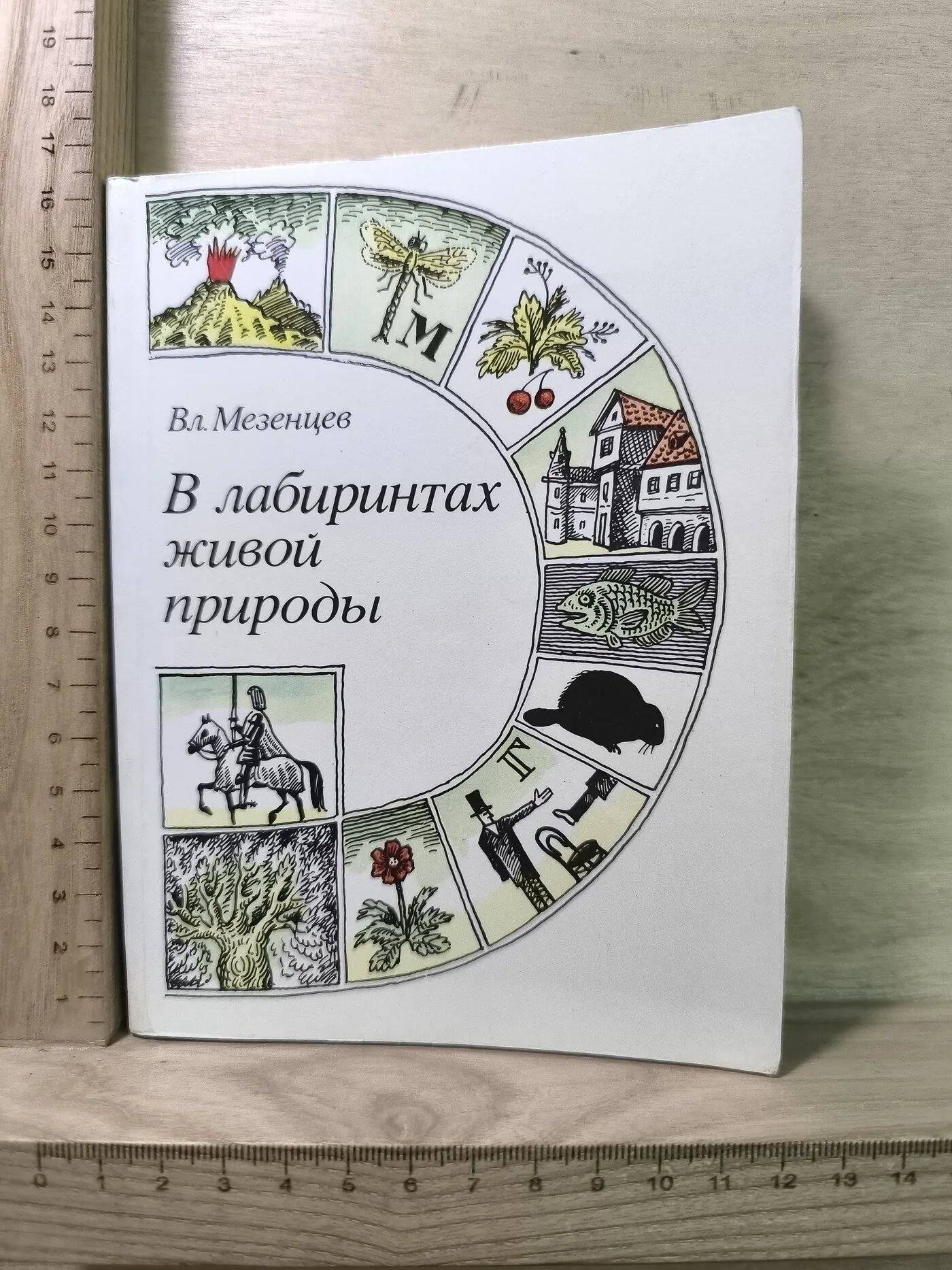 В лабиринтах живой природы
