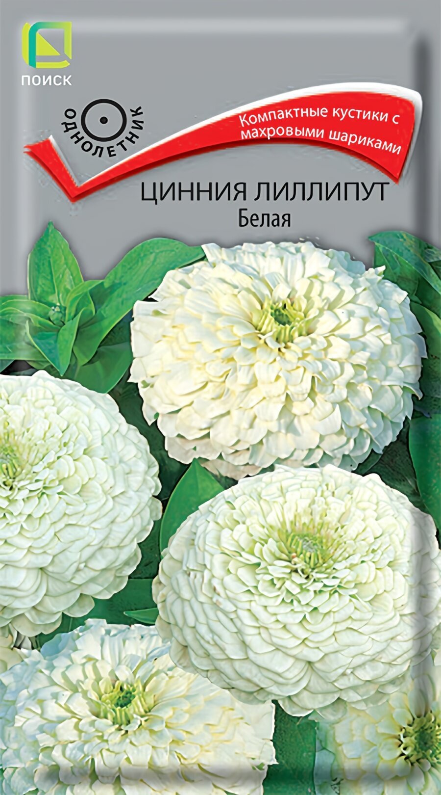 Семена циннии лиллипут Белая, 0,4 г, Поиск, однолетник, высота до 45 см, посев на рассаду в апреле, для солнечных мест