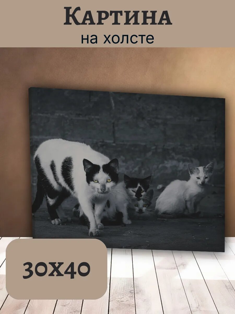 Картина Кот Кошка Cat 30x40 с желтыми глазами и котятами