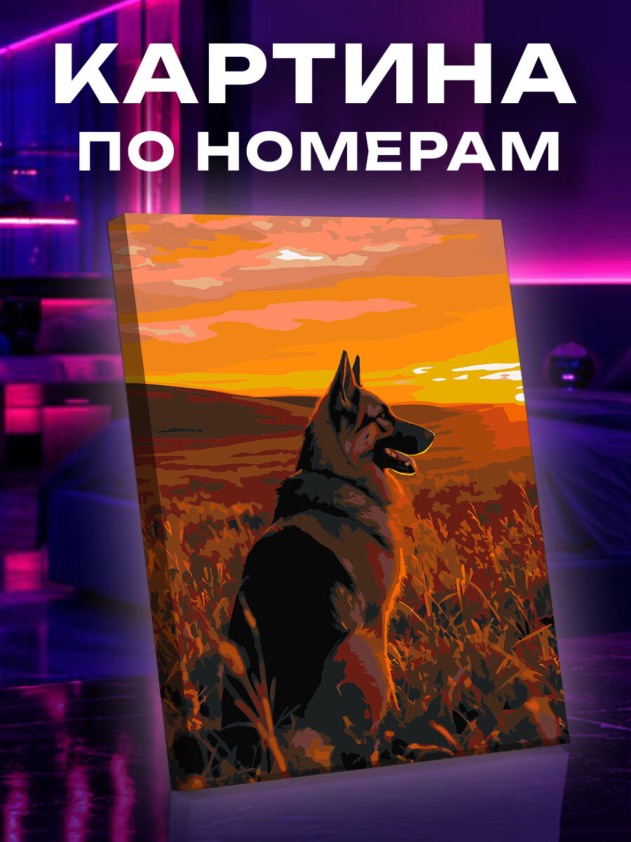 Картина по номерам Собака