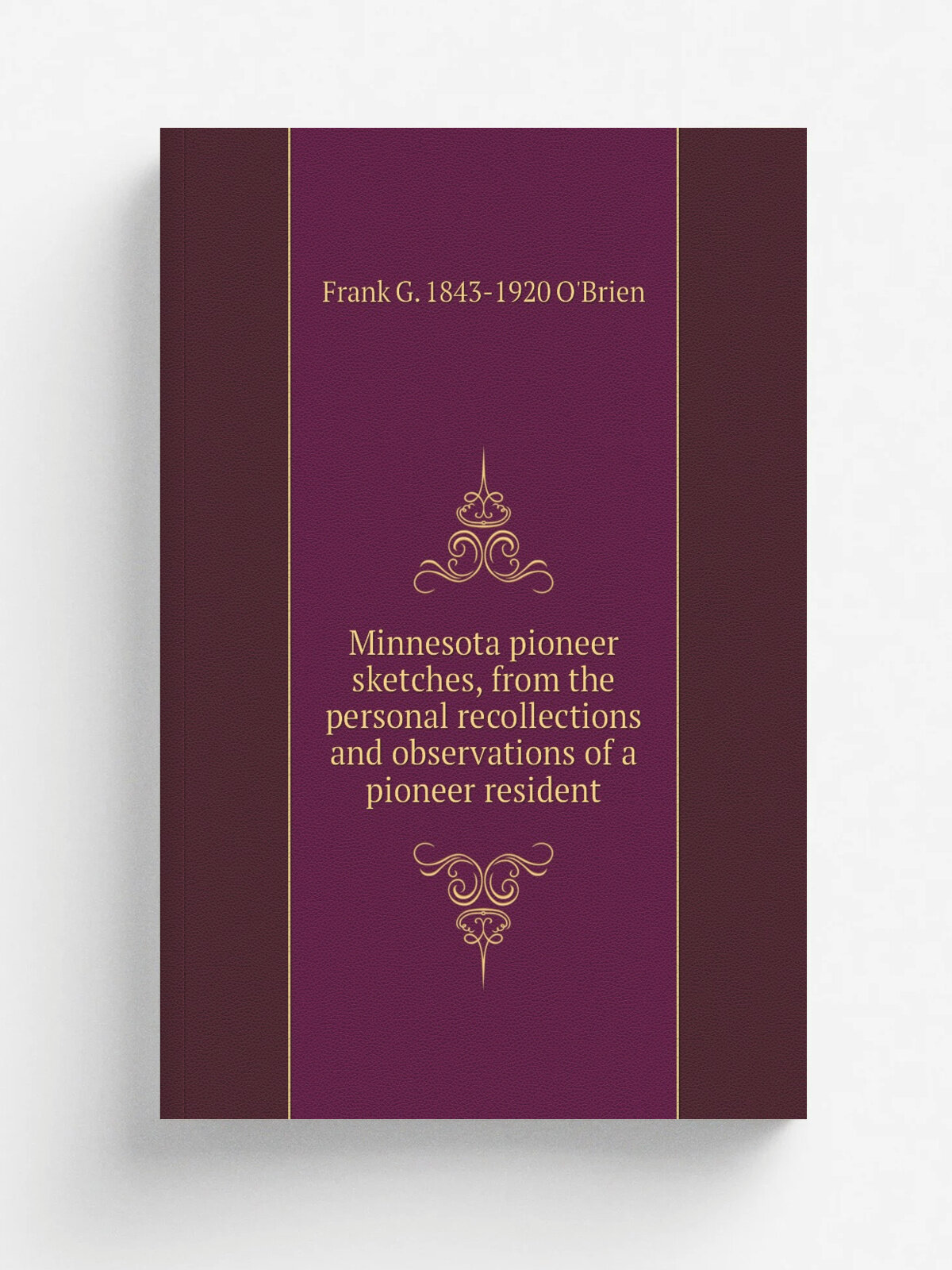 Minnesota pioneer sketches, from the personal recollections and observations of a pioneer resident