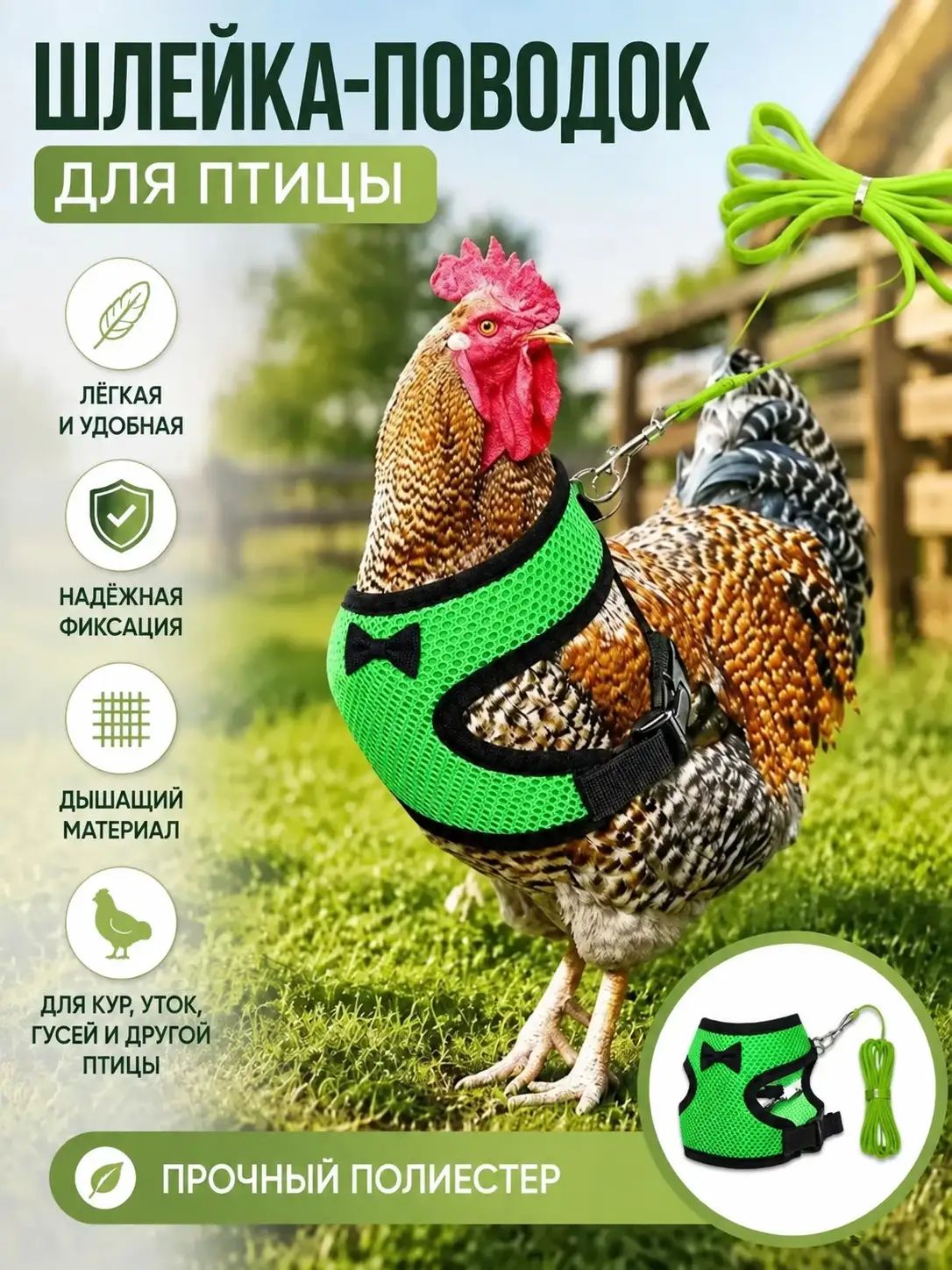 Шлейка для домашних птиц (куры, утки, гуси) с поводком, Артикул: 5963645790