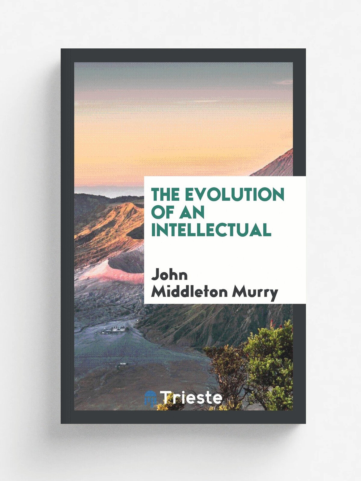 The evolution of an intellectual