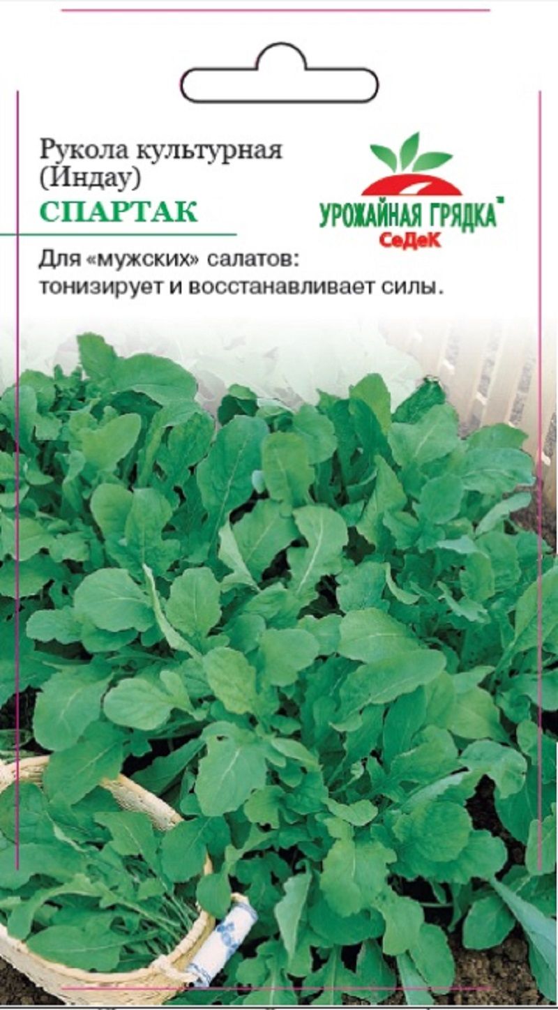 Руккола (индау) Спартак 0,3г /Седек