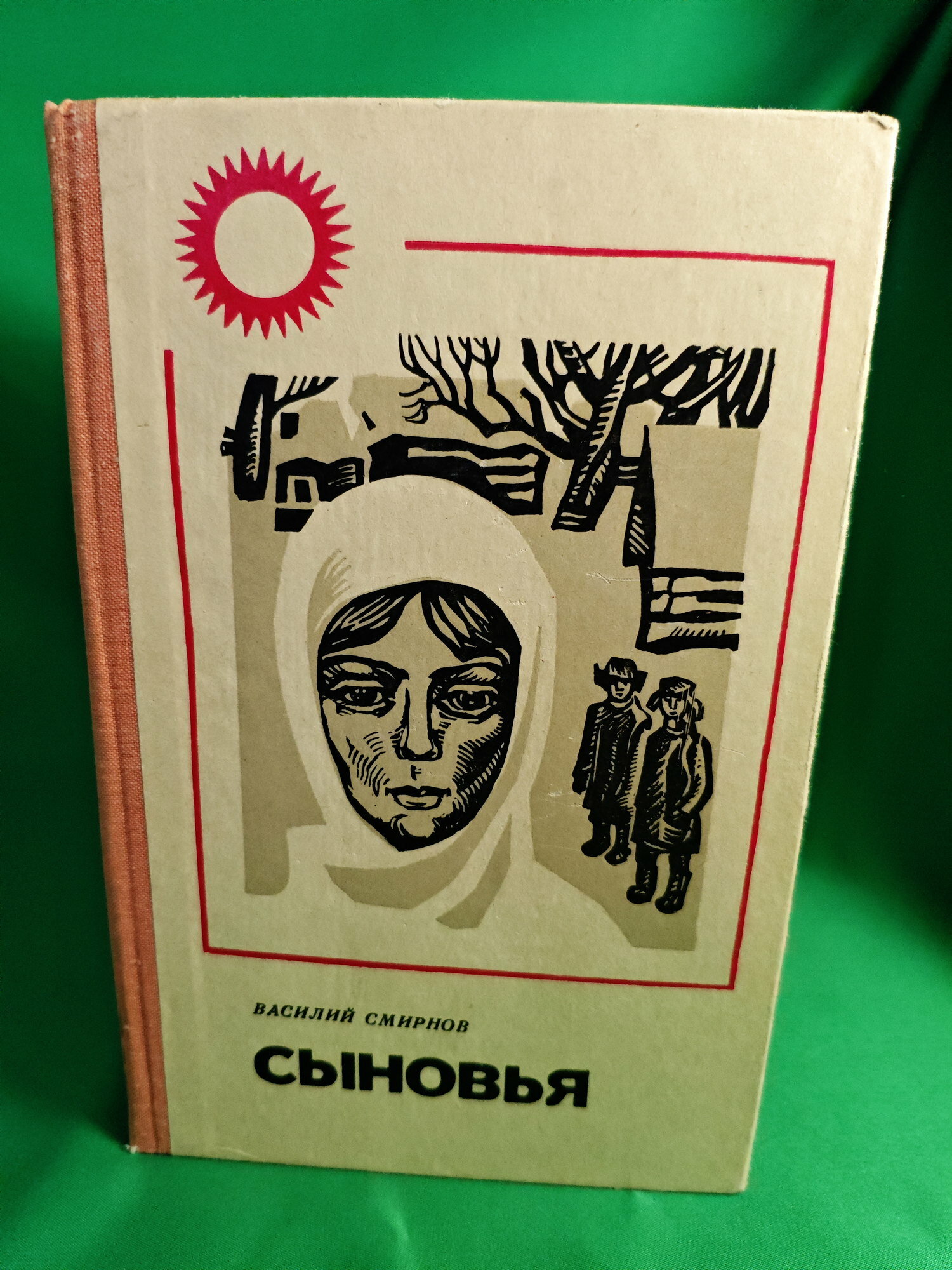 Книга Сыновья Букинистическая книга для всех. Печатное издание.