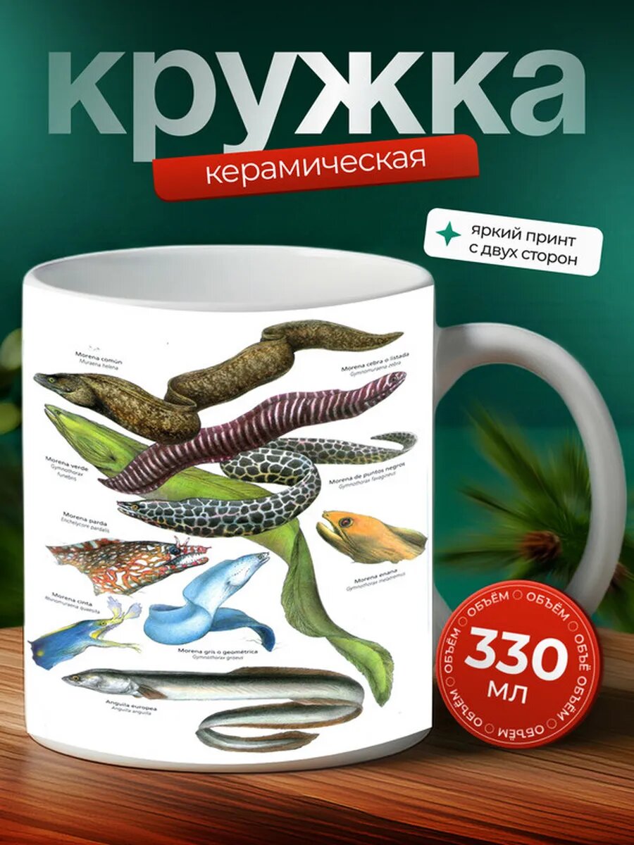 Кружка Мурена рыба 6,