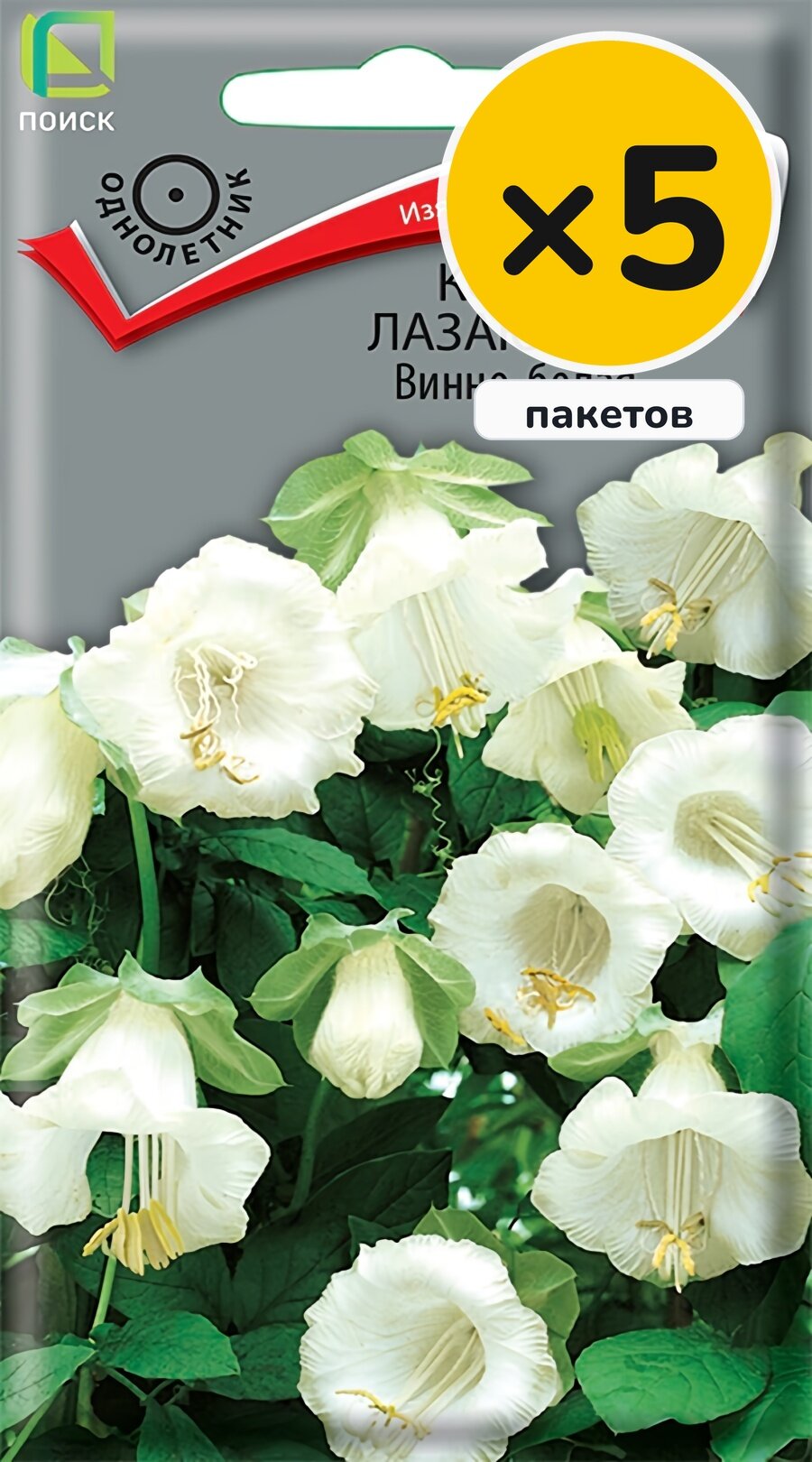 Семена кобеи лазающой Винно-белая, 5 шт, 5 пакетов, Поиск, однолетник, высота до 300 см