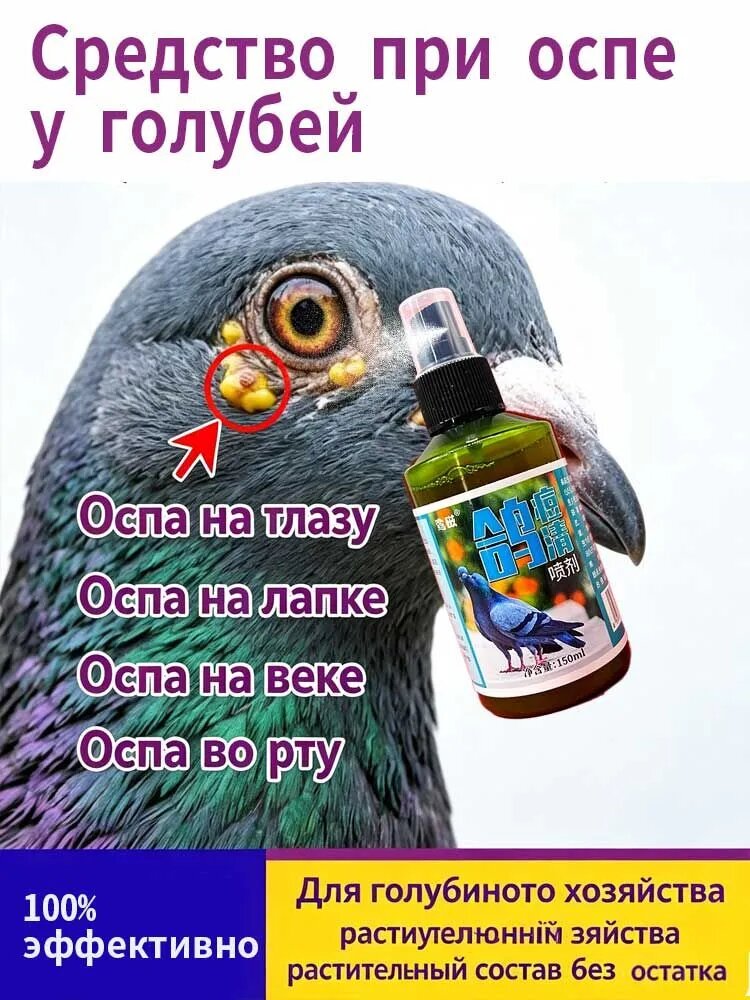 Спрей от оспы голубей, заживляющее средство для лечения ран и наростов у птиц